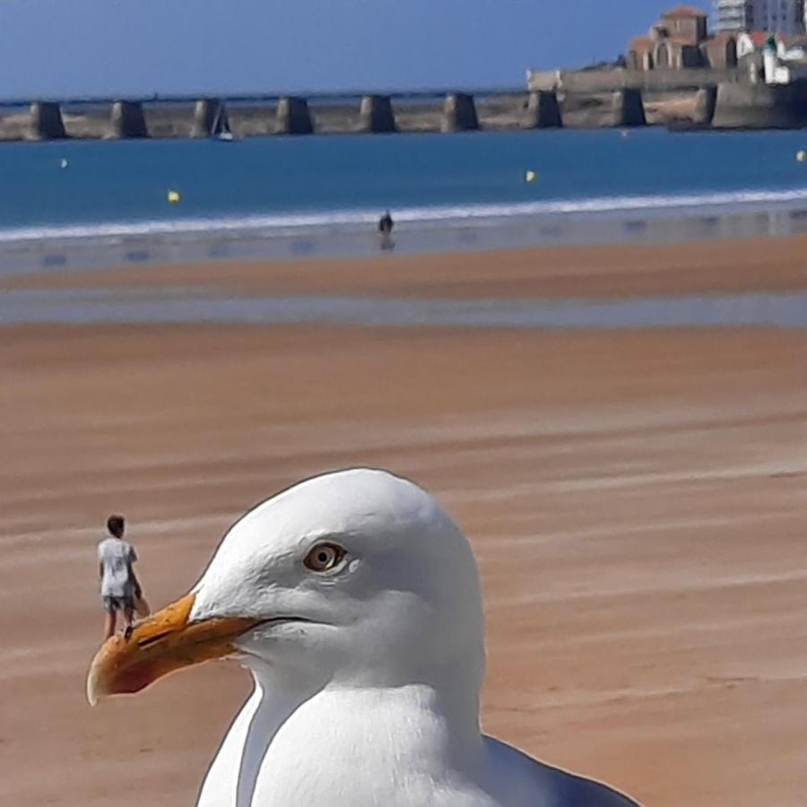 Appartement Vue Sur Mer Les Sables-dʼOlonne Buitenkant foto
